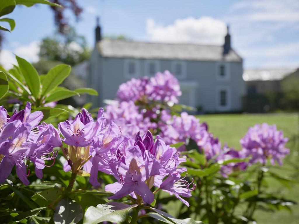 5 Bed In Loweswater Sz424 Lorton Buitenkant foto